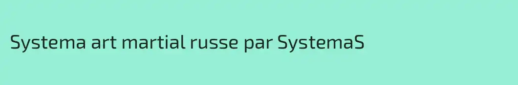 Systema art martial russe par SystemaS